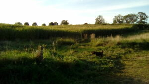 Belgisches Hinterland