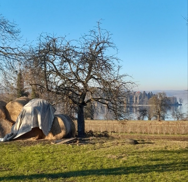 Mainau